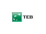 TEB